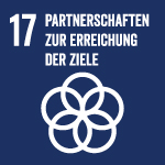 SDG 17
