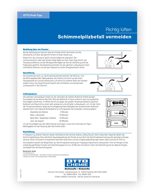 Schimmelpilz vermeiden