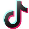 Tiktok Icon 100px